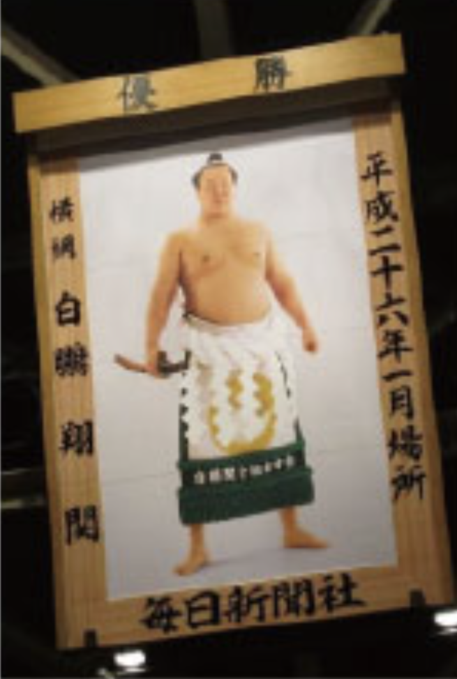 大相撲優勝額（毎日新聞社）